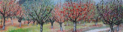 Peach Blossoming 160x50